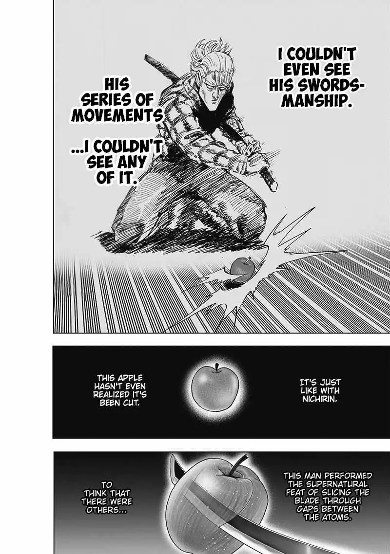 One-Punch Man Chapter 189 27